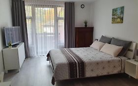 Gemütliche Ferienwohnung am Kurpark in Bad Herrenalb